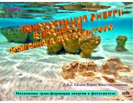 Механизмы трансформации энергии в фотосинтезе