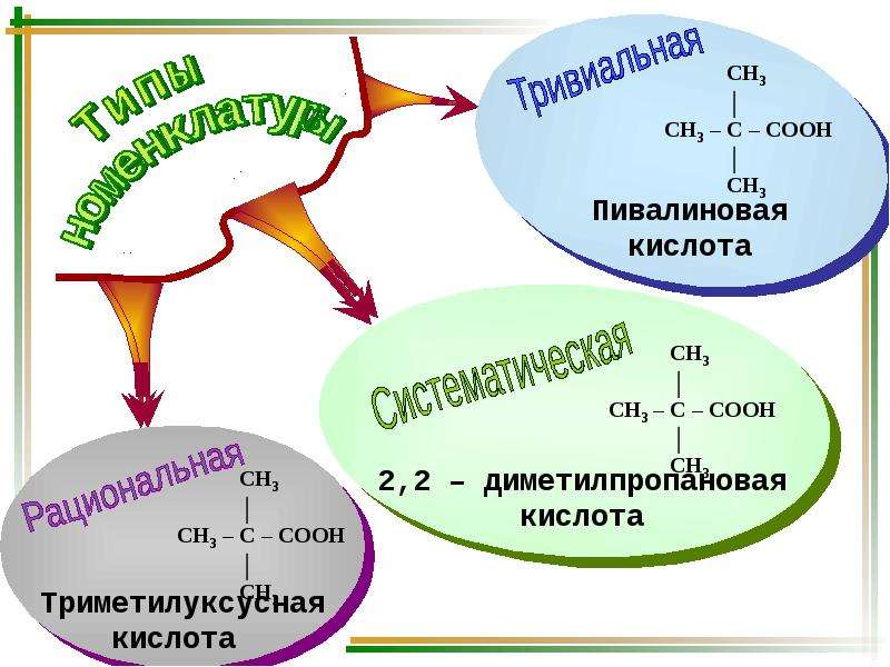 Основы биоорганической химии. 2 2 Диметилпропановой кислоты. Диметилпропановая кислота. 1 2 Диметилпропановая кислота. 2 2 диметилпропановая кислота структурная формула
