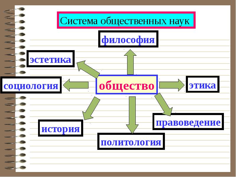 Человек в системе общественных отношений 6 класс конспект урока и презентация