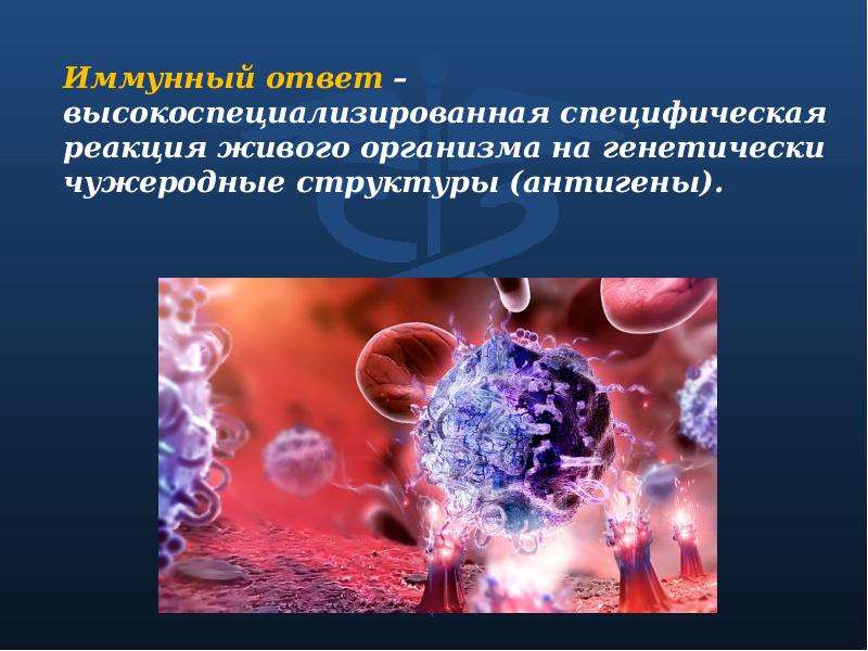 Поражения иммунной системы. Иммунная система. Иммунологические гормоны. Введение в иммунологию. Иммунная система человека иммунология.