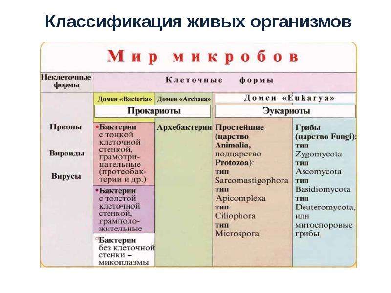 Классификация живых организмов. Классификация всех живых организмов. Экологическая классификация организмов. Как классифицируются живые организмы. Экология микроорганизмов таблица.