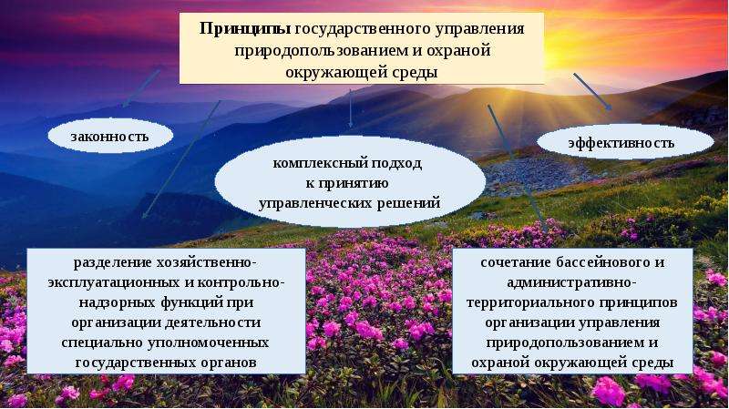 Механизм управления природопользованием и охраной окружающей среды схема