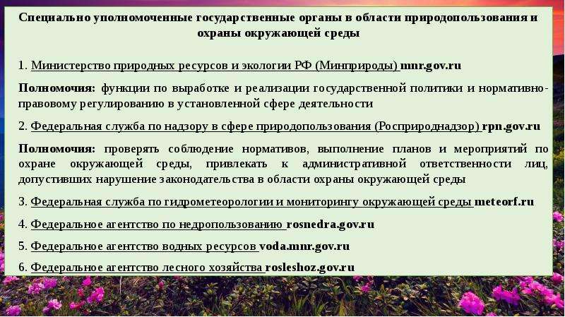 Государственное управление охраной окружающей среды. Специально уполномоченные органы охраны окружающей среды. В области охраны окружающей среды и природопользования. Гос управление в области природных ресурсов. Управление в области охраны окружающей среды и природопользования.