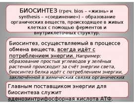 Биосинтез белка