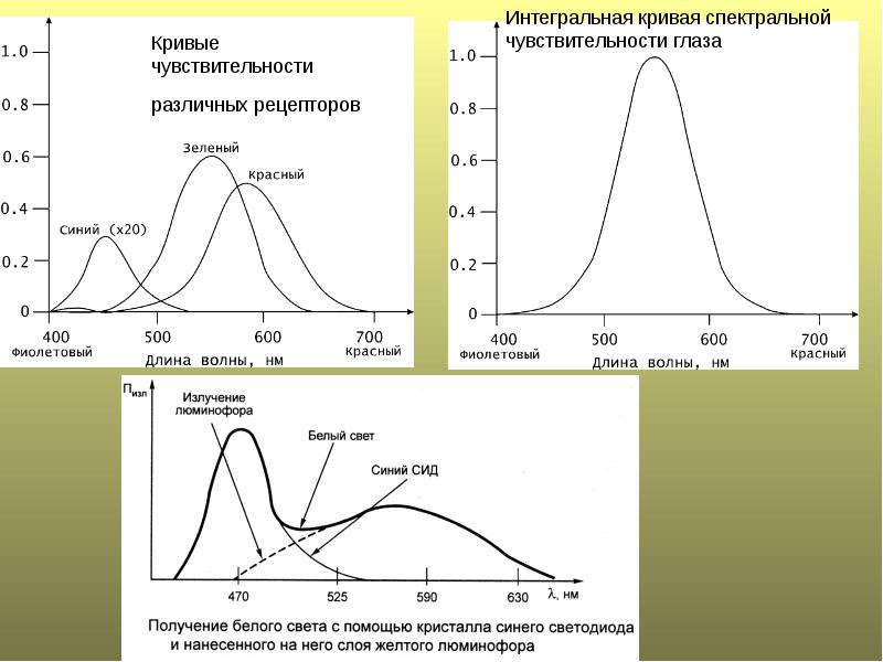 Спектральная чувствительность. Кривая видности глаза спектральная чувствительность. График относительной спектральной чувствительности глаза. Кривые спектральной чувствительности (по Томсону и Райту). Кривая относительной спектральной чувствительности глаза человека.