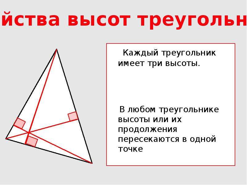 В каждом треугольнике есть