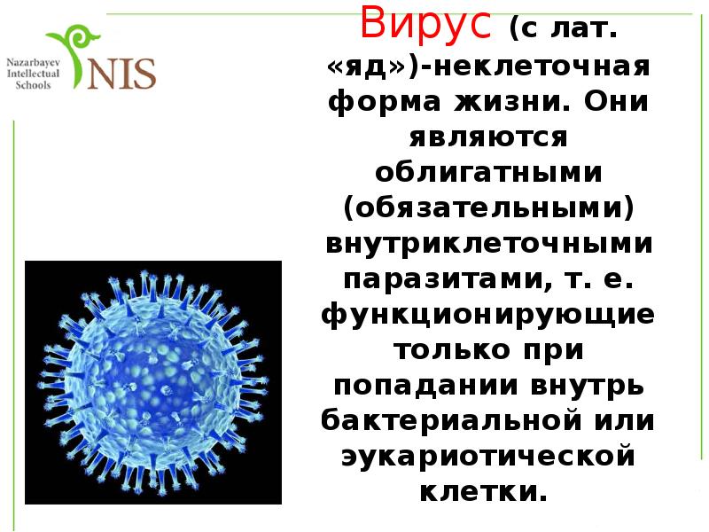 Неклеточные формы жизни вирусы бактерии. Вирусы неклеточные формы жизни. Неклеточные формы жизни вирусы и бактерии. Бактерии это неклеточная форма жизни. Вирусы облигатные внутриклеточные паразиты.