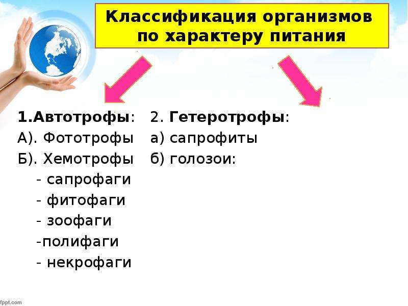 Стенофаги это. Организмы по характеру питания. Полифаги это в экологии. Сапрофаги это в экологии. Полифаги фитофаги зоофаги примеры.