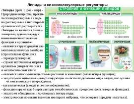 Липиды и низкомолекулярные регуляторы