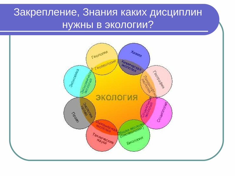 Экология проект 10 класс индивидуальный проект