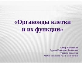 органоиды1