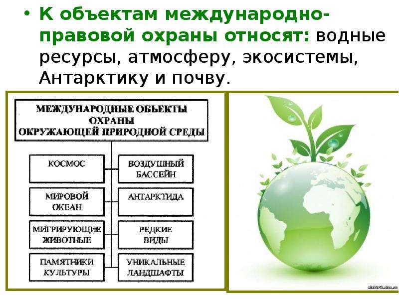 Объекты экологического права подлежащие международно правовой охране презентация