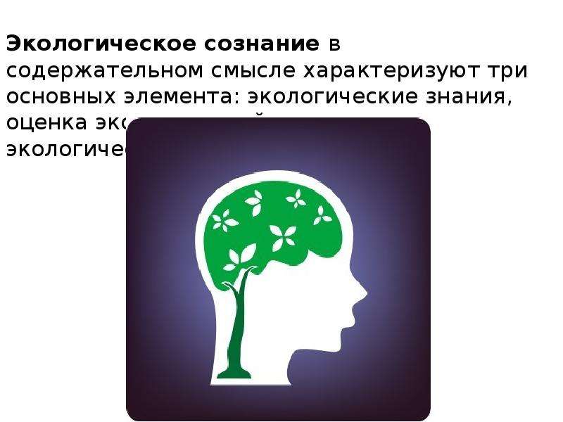 Экологическое сознание молодежи проект по обществознанию