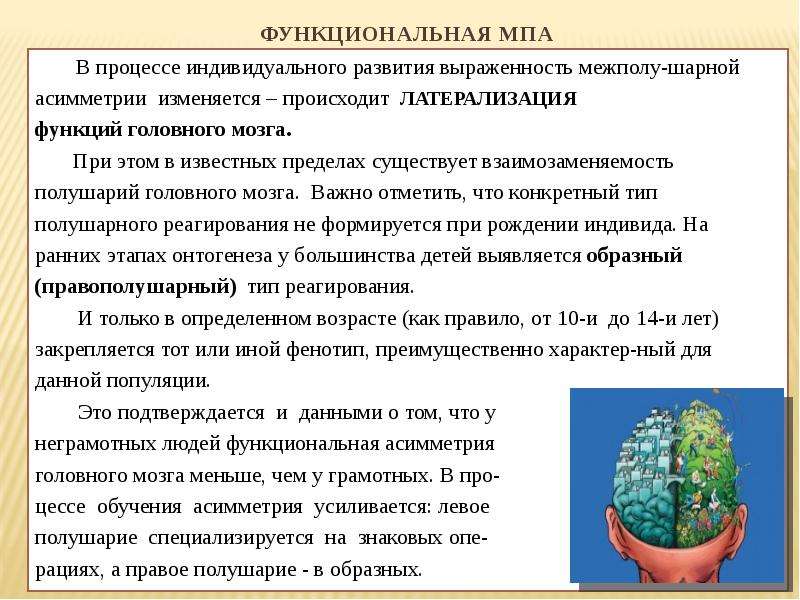 Функциональная асимметрия. Функциональная асимметрия головного мозга кратко. Теория функциональной асимметрии полушарий головного мозга. Функциональная асимметрия мозга у человека. Функциональная ассиметрия мозга это что.