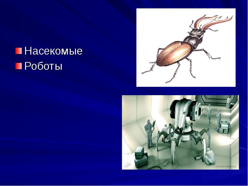 Бионика и робототехника презентация