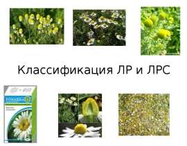 Классификация лекарственных растений (ЛР) и лекарственного растительного сырья (ЛРС)