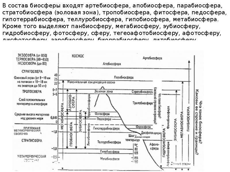 Учение о биосфере схема