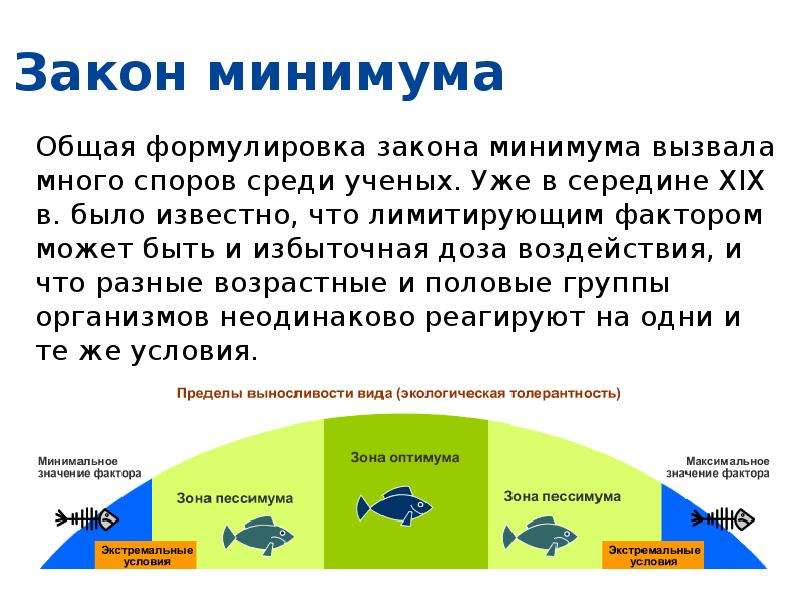 Закон минимума презентация