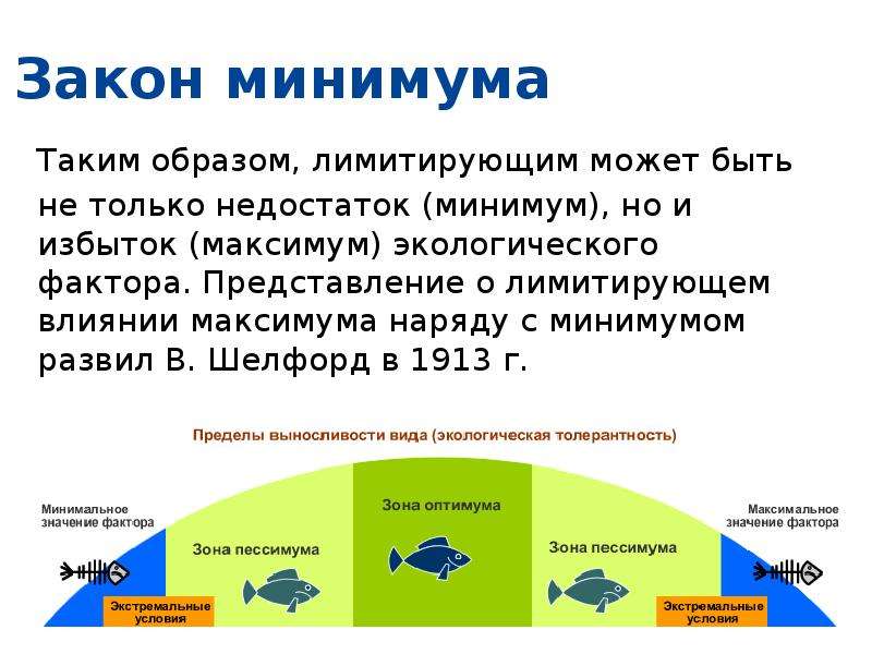 Закон минимума презентация