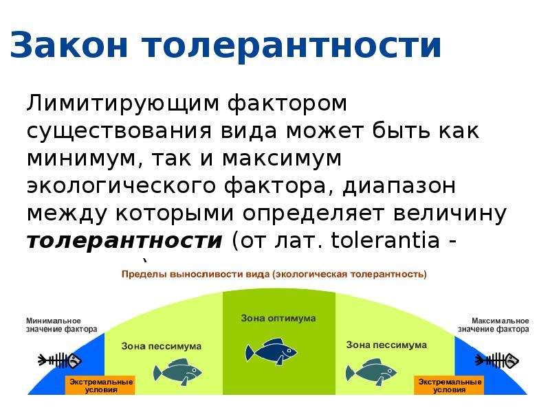 Закономерности влияния экологических факторов на организмы презентация 11 класс