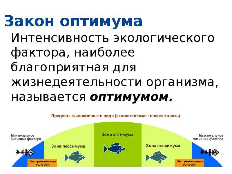 Интенсивность фактора наиболее благоприятная для жизнедеятельности