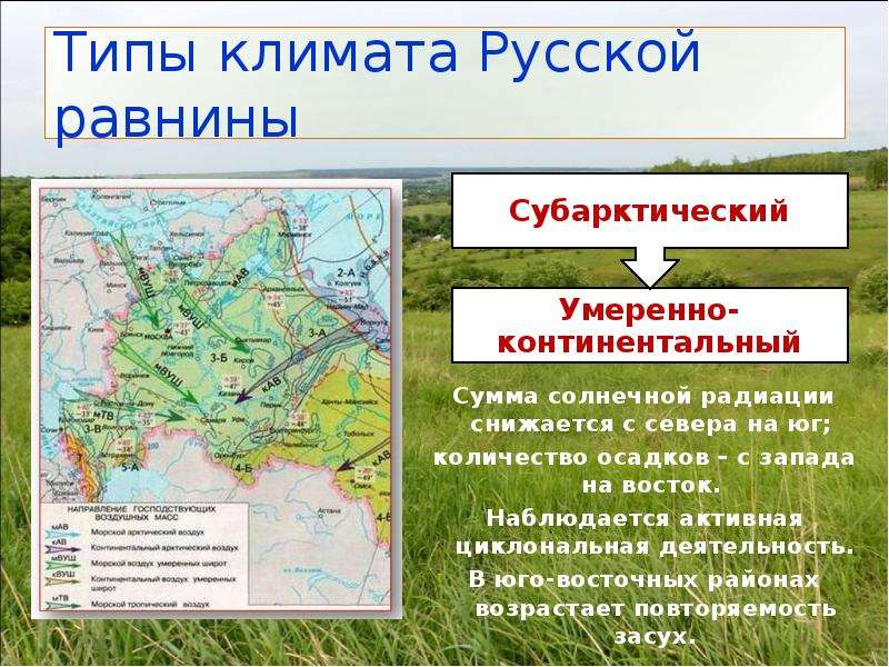 Восточно европейская равнина растительный и животный мир