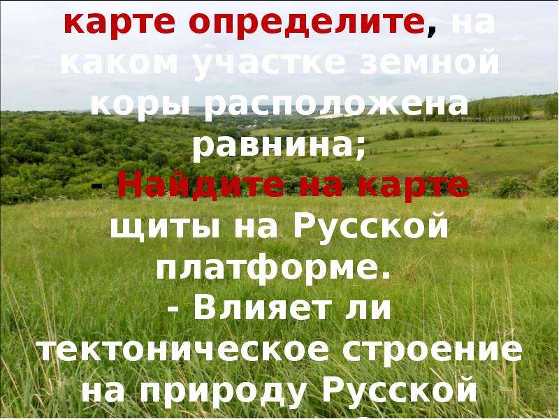 Проблемы освоения восточно европейской равнины. Восточно-европейская равнина презентация. Растения Восточно европейской равнины. Восточно-европейская равнина расположена на платформе. Щиты русской равнины.