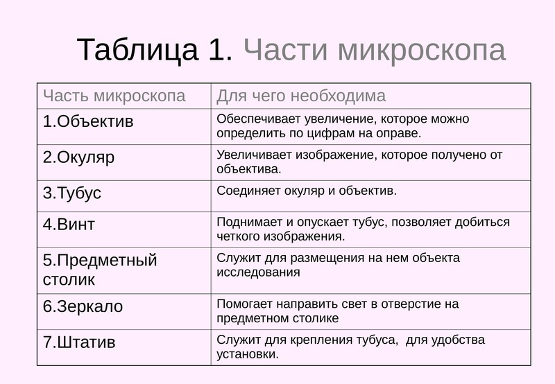 функция предметного столика в микроскопе