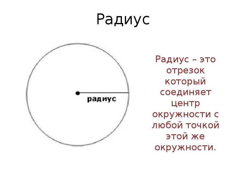 Любая окружность. Радиус. Радиус окружности. Ради. Различение окружности и круга.