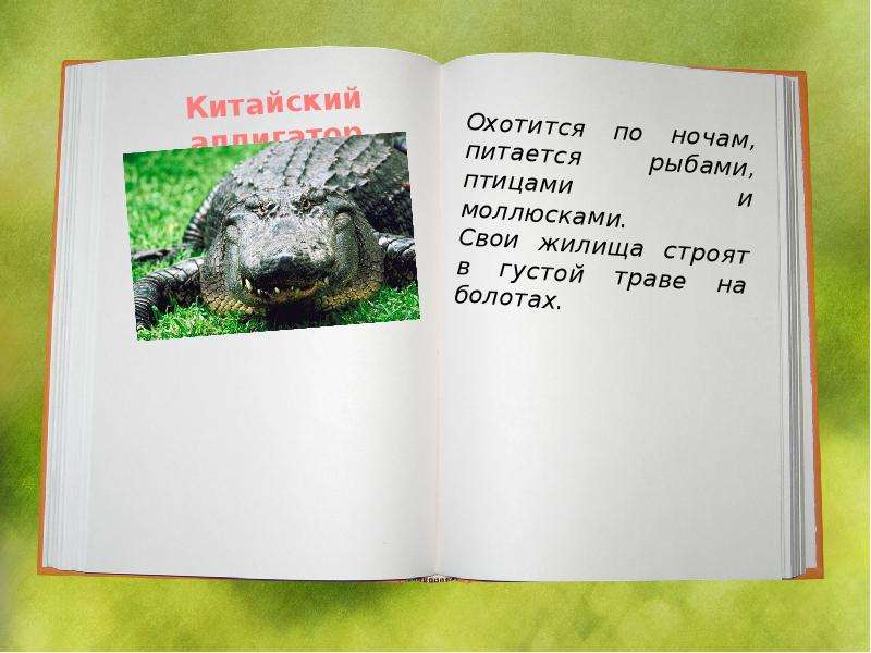 Красная книга китая животные