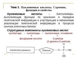 Нуклеиновые кислоты. Строение, функции и свойства. (Тема 3)