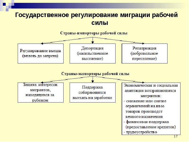 Международное движение рабочей силы презентация