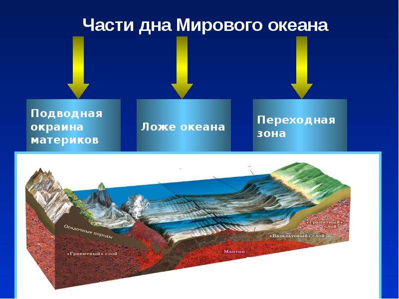 Дно океана схема