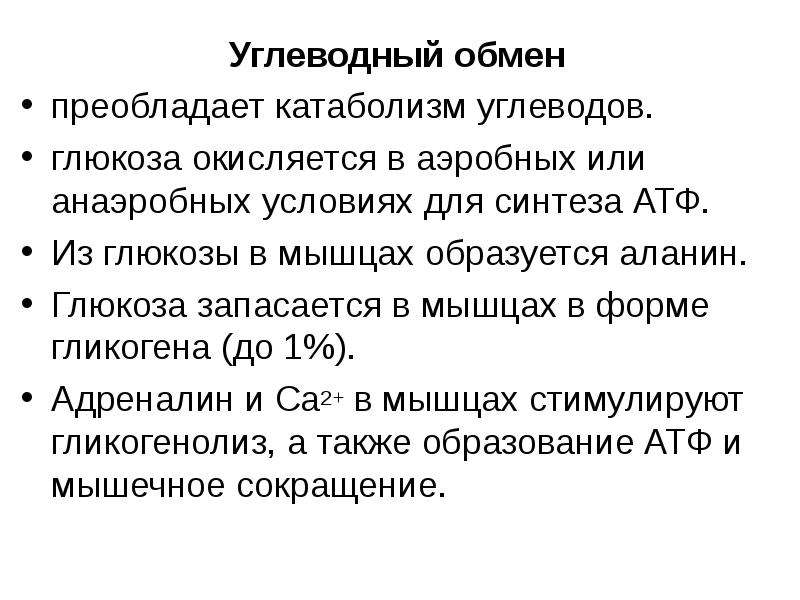 Углеводный обмен. Роль мышц в углеводном обмене. Особенности обмена углеводов в мышечной ткани. Обмен углеводов в мышцах биохимия. Особенности метаболизма в мышечной ткани биохимия.