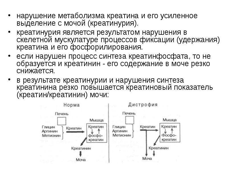 Загрузка креатином схема