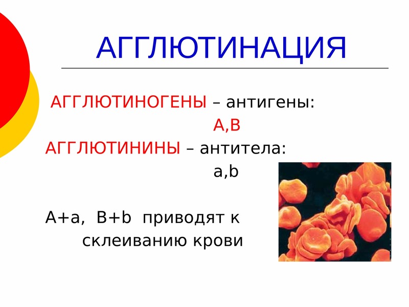 Альфа агглютинин содержится в крови. Агглютинины и агглютиногены. Агглютинины это антитела. Агглютинины и агглютиногены крови. Группы крови агглютинины.