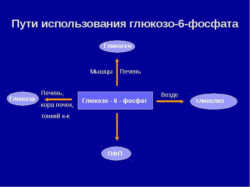 Нарушение углеводного обмена картинки