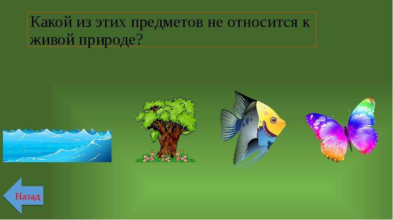 Живые предметы это. Три предмета живых. Какая из характеристик не относится к живой природе. Вода живой предмет или нет.