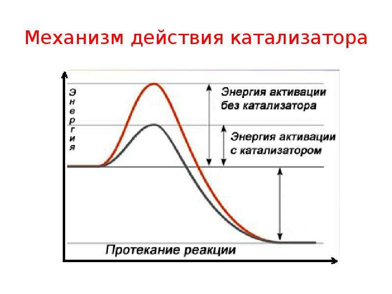 Скорость химической реакции катализаторы. Механизм действия катализатора в химической реакции. Механизм действия катализатора. Механизм действия катализа. Механизм катализа катализатор.