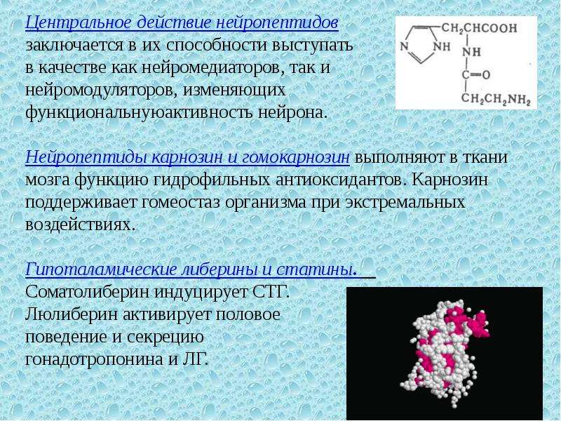 Центральное действие. Нейропептиды биохимия. Нейропептиды головного мозга. Нейропептиды функции. Система регуляторных нейропептидов и их эффекты.