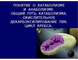 Катаболизм и анаболизм. Общий путь катаболизма. Окислительное декарбоксилирование ПВК. Цикл Кребса