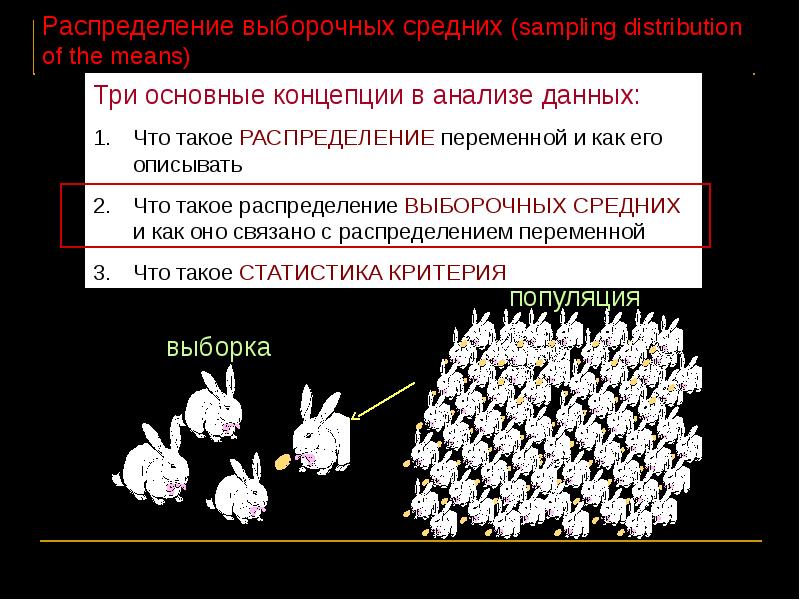 Выборочное распределение. Популяция и выборка в статистике.