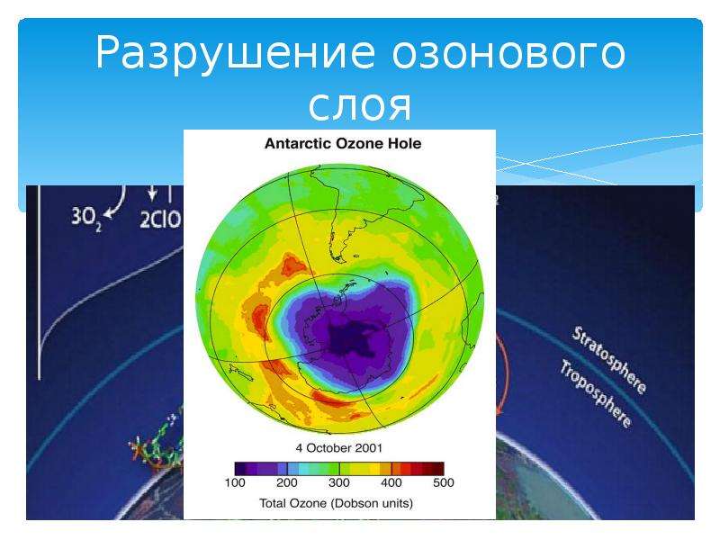 Google проект кислород