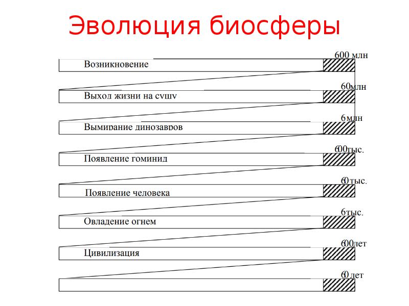 План эволюция биосферы 9 класс