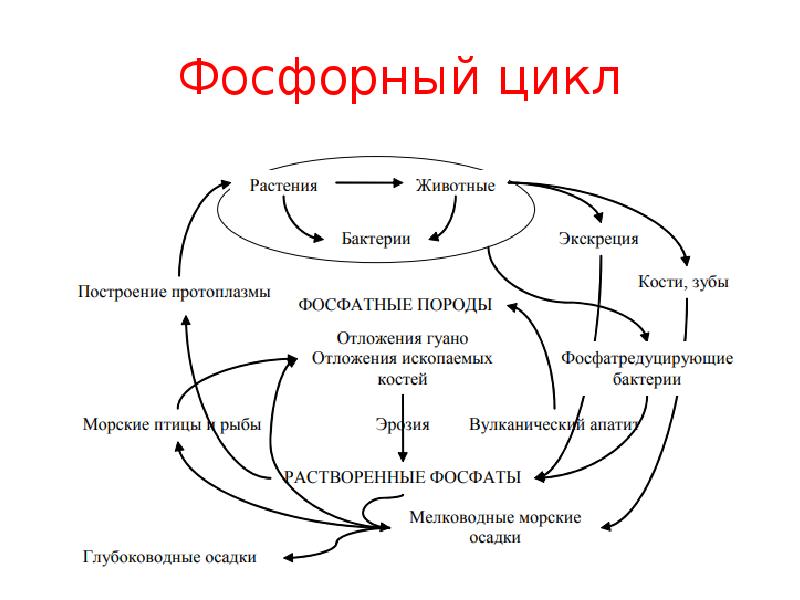 Возникнуть окружение