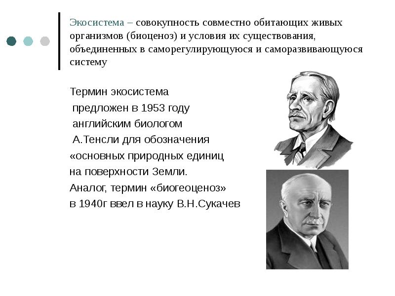 Экосистема предложил. Термин экосистема Тенсли. Понятие экосистема ввел. Кто ввел в экологию термин «экосистема»?. Кто ввел понятие экосистема в экологию.