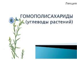 Гомополисахариды (углеводы растений)