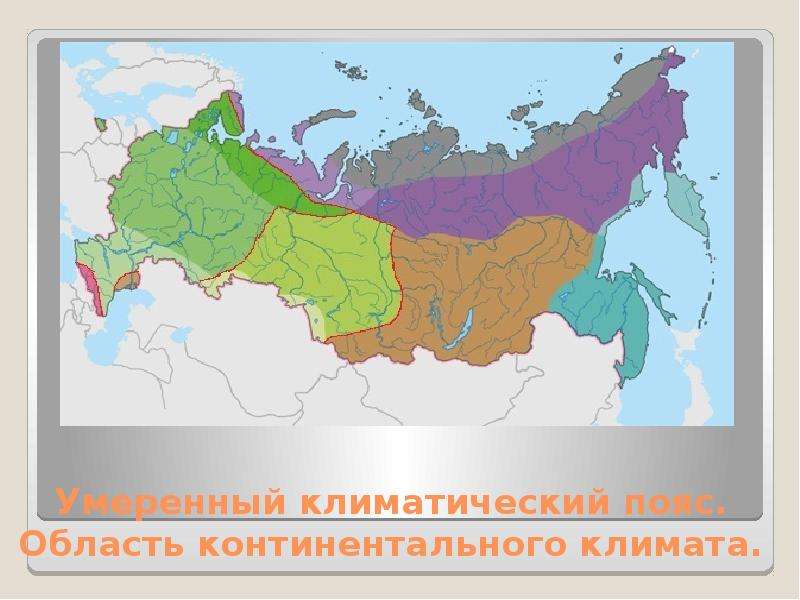 Область континентального климата. Карта России по климатическим поясам. Климатические пояса России с севера на Юг. Арктический пояс на карте России. Основной климатический пояс России.