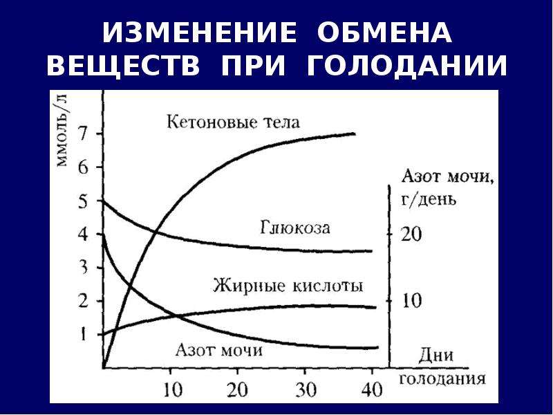 Изменение обмена веществ. Обмен веществ при голодании. Метаболизм при голодании. Схема метаболизма при голодании.