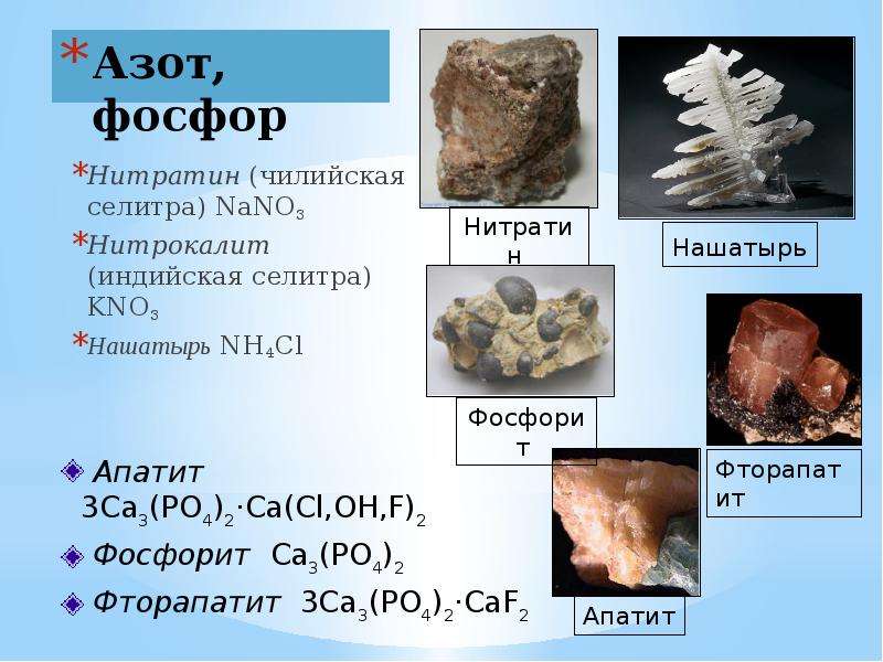 Азот план характеристики элемента